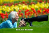 My dad and I always shoot a lot of pictures of each other while out photographing. I got up on a hill and used my 600mm lens to get this shot of my dad with a field of tulips behind him. Holland, Michigan this time of year is a must-see. I promise it will bring a smile to your face! F4 at 1/1000, ISO 100, 600mm lens at 600mm