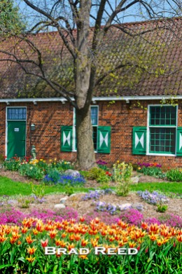 Today was my first time at Windmill Island Gardens in Holland, Michigan. The historic village near downtown replicates what life was like in the Netherlands a few hundred years ago. Each year, hundreds of volunteers help plant thousands of tulips in Holland for their annual Tulip Time festival. This year, the tulips have bloomed a month early because of the unseasonably warm weather in March. F8 at 1/200, ISO 100, 18-50mm lens at 35mm