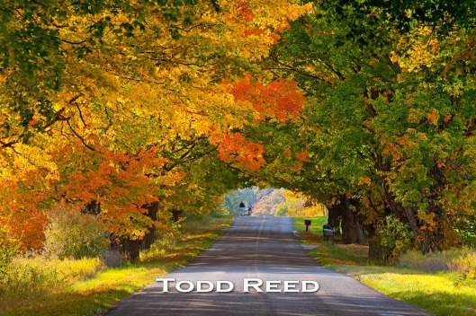 283A_Todd-Reed_Day-283-of-365-October-10_2010